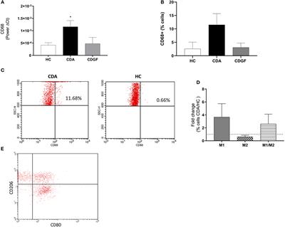 Intestinal Epithelium Modulates Macrophage Response to Gliadin in Celiac Disease